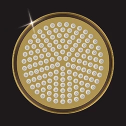 Верхний душ Elghansa SHOWER HEAD CD-220-Gold , золото - изображение 1