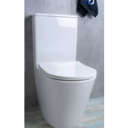 Унитаз напольный моноблок Gid Tr2179 Geberit безободковый - изображение 3