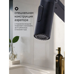 Смеситель для кухни с гибким изливом Kern 2050 NS черный матовый - изображение 7