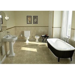 Биде напольное Vitra Efes 6597B003 - изображение 3