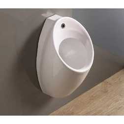 Писсуар CeramaLux X560S - изображение 1